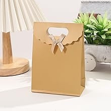 Bolsa De Regalo Con Aza Y Lazo 12x6x16