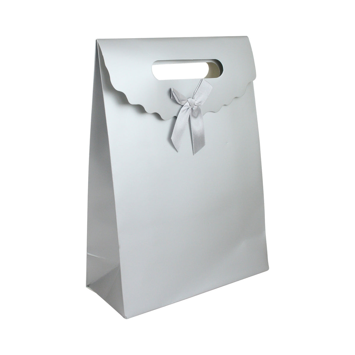 Bolsa De Regalo Con Aza Y Lazo 19x9x27