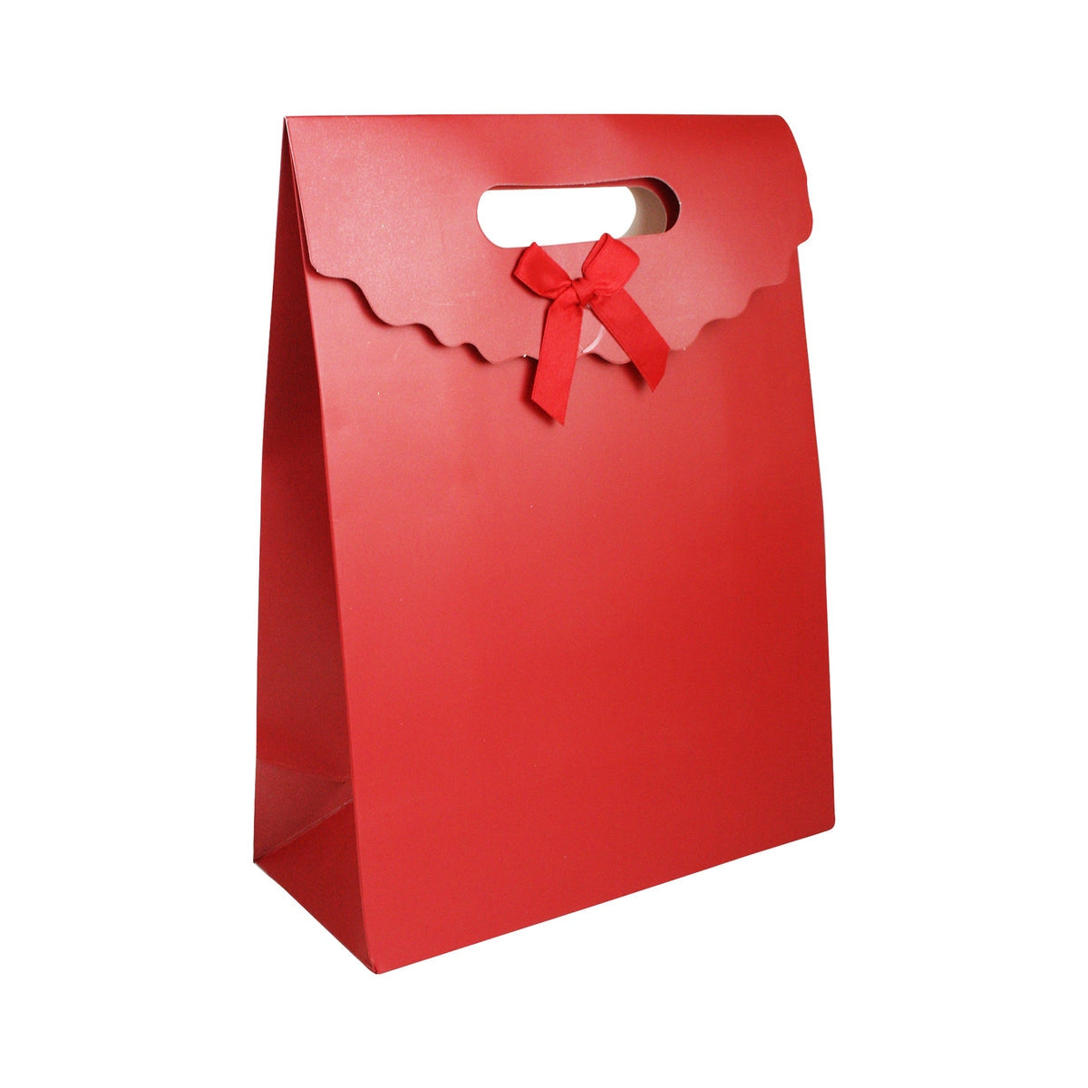 Bolsa De Regalo Con Aza Y Lazo 19x9x27