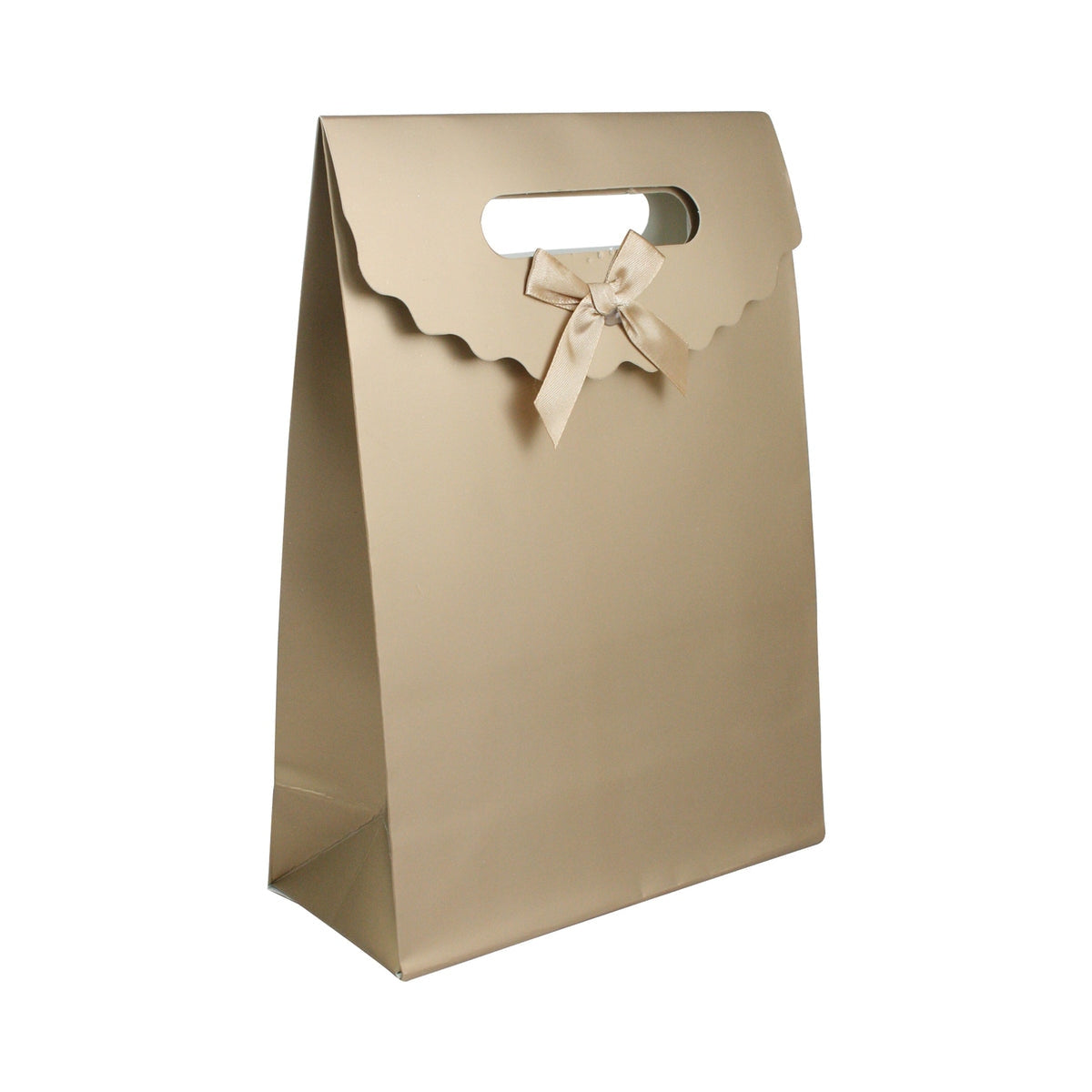 Bolsa De Regalo Con Aza Y Lazo 19x9x27