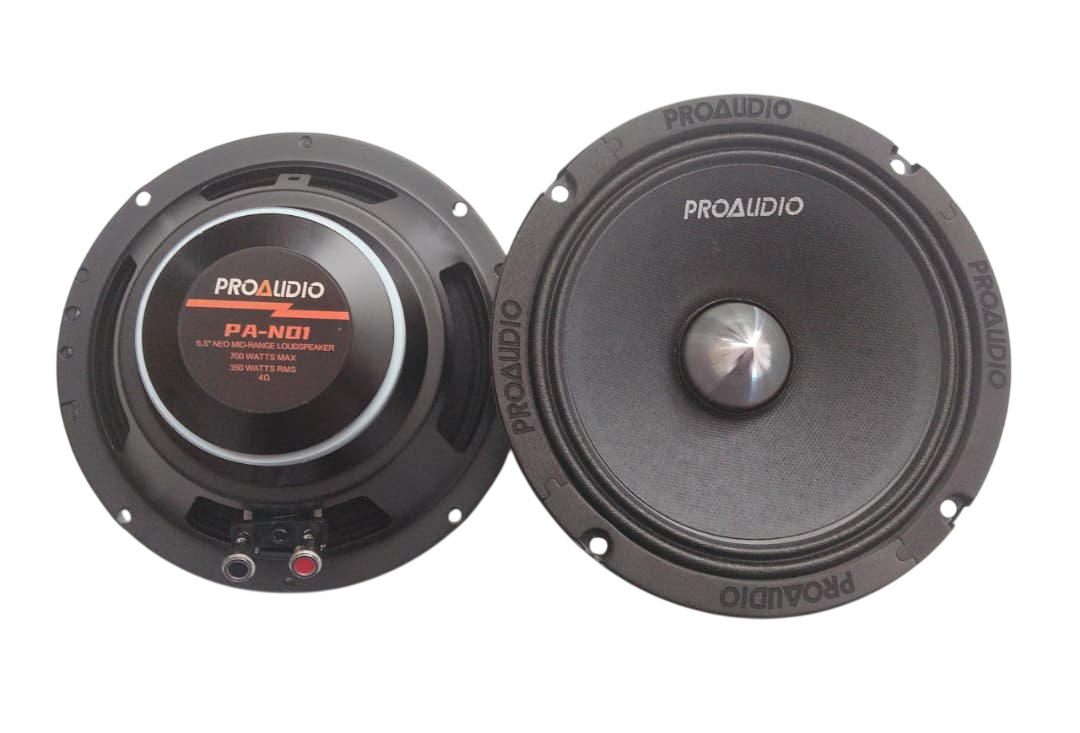 Medios De 6 Inches De 700 Watts Pro Audio Pa-nd1 (par)/audio