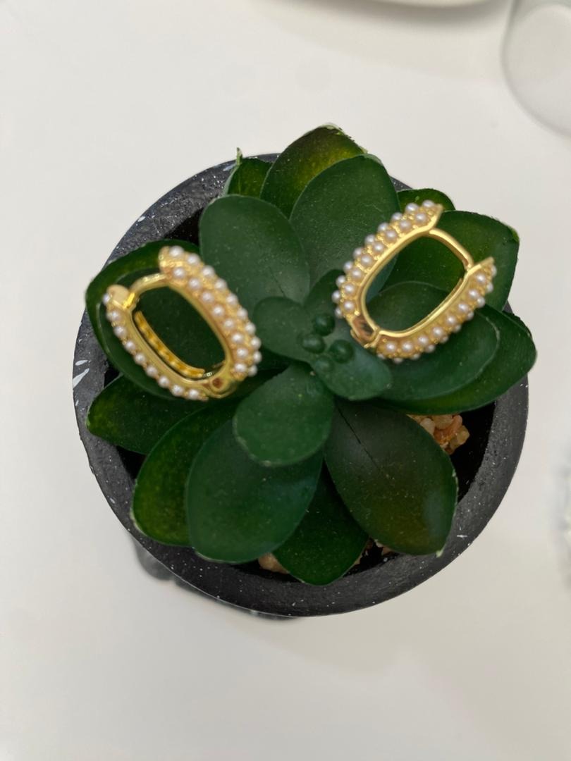 ARGOLLAS Y ZARCILLOS DE DIFERENTES MODELOS